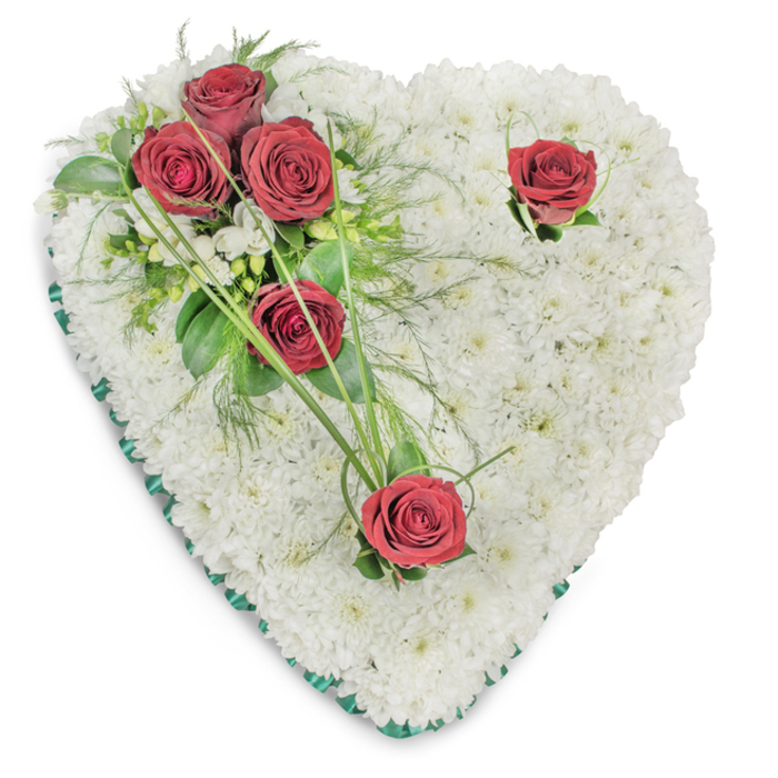 A classic heart-shaped funeral tribute, composed of a dense bed of immaculate white chrysanthemums and punctuated by vivid, deep-red roses, set against a bright white background that accentuates form and colour. The chrysanthemum cushion covers the whole heart with a soft, textured surface - tiny, tightly packed petals creating a seamless, cloud-like effect that reads as serenity and purity. On the upper left a trio of bold red roses cluster together, their full blooms opened wide and cushioned by a mix of glossy foliage and delicate ferny sprigs; long, slender blades of bright green curve away, adding rhythm and a sense of natural flow. Two solitary red roses lie apart from that cluster - one tucked near the right-hand curve, another marking the bottom point - each accompanied by a few small green leaves that lift the bloom and draw the eye through the composition. A narrow emerald-green satin ribbon neatly edges the heart, lending a subtle frame and a note of refined solemnity. The lighting reveals gentle shadows across the textured surface, suggesting dimensional depth without drama. Smell and touch are implied here: the faint sweetness of rose balanced by the milder, green perfume of the chrysanthemums and foliage. This arrangement demonstrates considered floral craft, appropriate for funeral chapels or memorials in Esher and neighbouring villages such as Thames Ditton and Claygate, where its restrained palette and careful composition offer solace, respect and a visual expression of enduring affection.