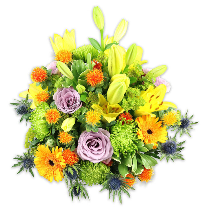 Presented against a pure white background, this densely packed floral composition reads like a small garden gathered into a single, joyful mound. Dominant yellow Asiatic lilies punctuate the silhouette - some unfurled with delicate speckling and visible stamens, others as tapered buds lending vertical rhythm - evoking a sense of growth and anticipation. Around them, two or more soft lavender-purple roses curl in gentle spirals, their velvety petals cooling the intense warmth of adjacent blooms and offering a quiet centre to the colour story. Bright orange Gerbera daisies fan their flat petals outward like tiny suns, while abundant lime-green cushion chrysanthemums create depth with their ruffled, pom-like clusters. Interspersed are compact, spherical orange and golden-yellow accents that add playful texture and a lively, almost musical punctuation across the surface. The arrangement's cooler notes come from blue-grey Eryngium thistles, their spiky, architectural forms placed low and to the sides to add contrast and rustic charm. A variety of green foliage - glossy, broad leaves alongside finer filler greens - unifies the flowers and provides sculptural support. The composition suggests occasions as varied as a celebratory anniversary, a heartfelt thank-you, or a comforting sympathy gesture, and it would make a striking table centerpiece for a home near Claremont Landscape Garden or a cheerful display in an office on Upper Green. Soft daylight illuminates the petals and textures, allowing the scent and meticulous handwork of the florist to come through in this artfully balanced bouquet.